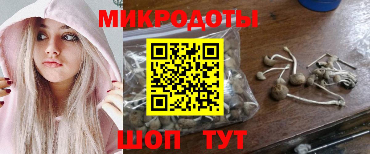 Псилоцибиновые грибы ЛСД Кольчугино